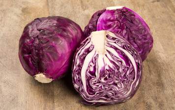 Organic red cabbage