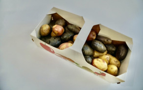 MIX raclette potatoes from Berne