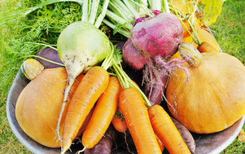 Gemüse aus der Region Bern